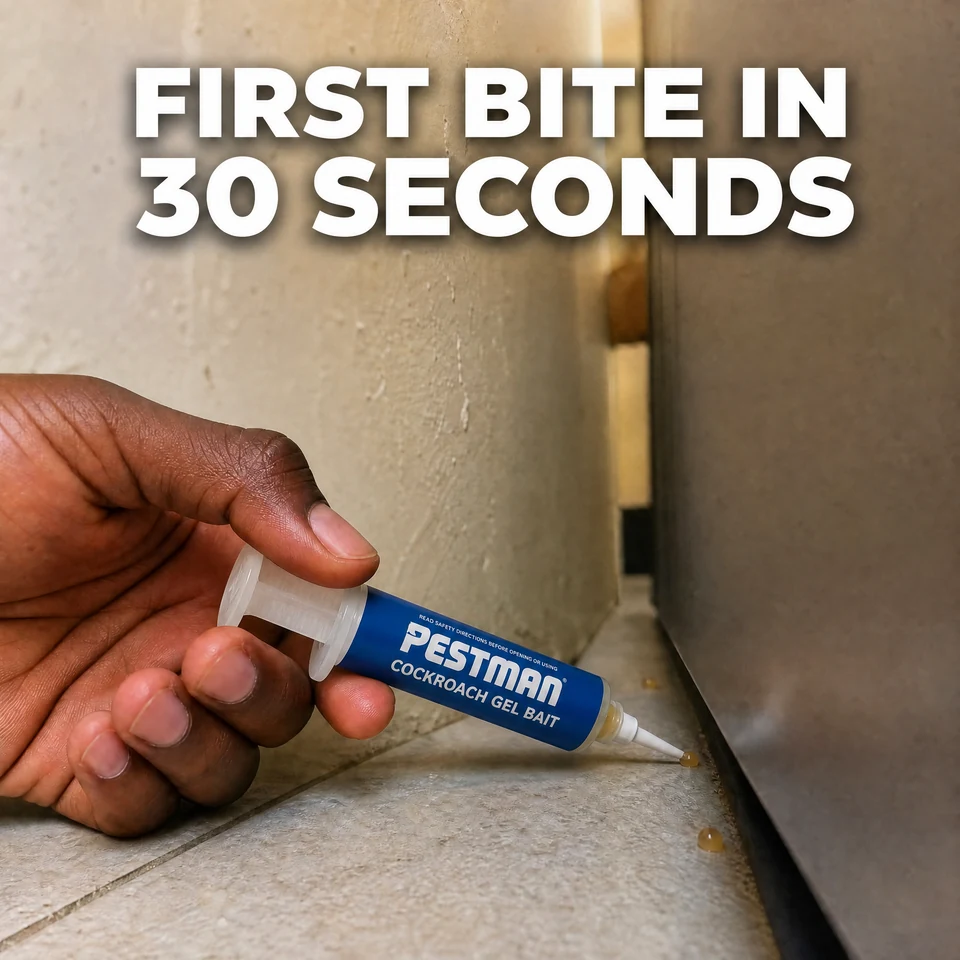 A hand squeezing a rice-grain dot of Pestman gel bait into the gap behind a fridge